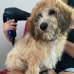 Meet your Posher, Cathy